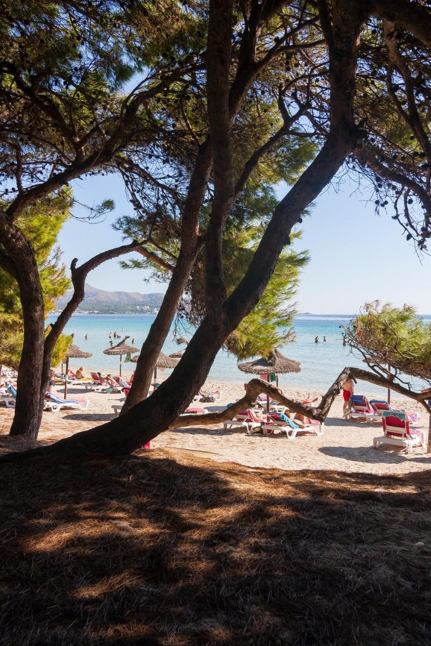 Apartamento Alarden Puerto de Alcúdia